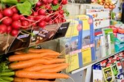 Wortels en radijzen op de groenteafdeling van een winkel